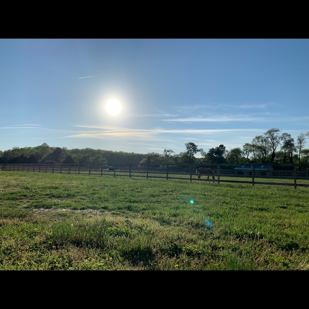 Meet your Posher, Sumathy